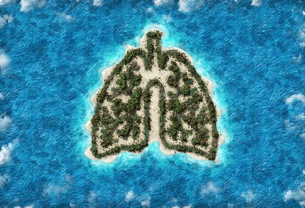 肺好不好，看手就知道？若手上没有这3个表现，说明肺部比较健康