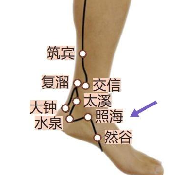 晚上睡不着,白天睡不醒怎么办? 晚上睡不着,白天睡不醒怎么办?