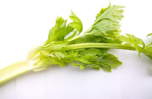 为什么吃芹菜要扔掉叶子？是真的不能吃吗？