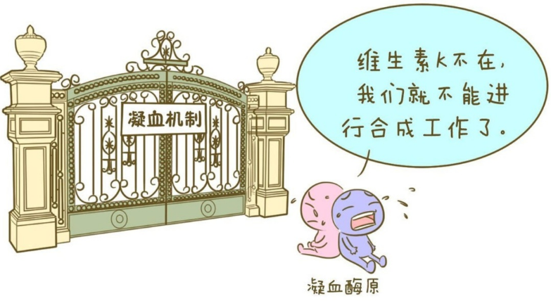 如何预防骨质疏松？