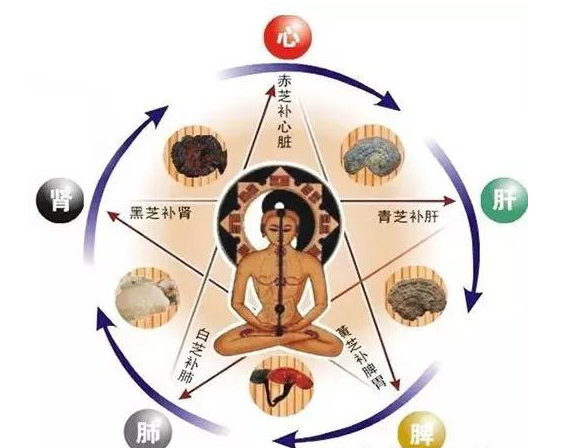 什么是冬病夏治？为什么要冬病夏治？