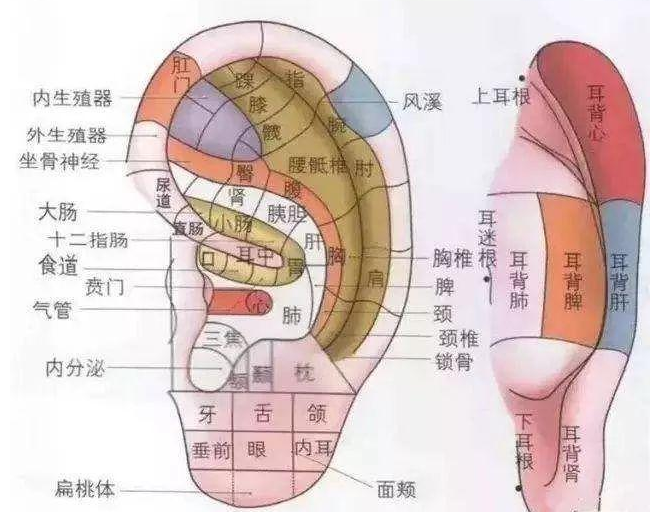 睡眠不良怎么办？