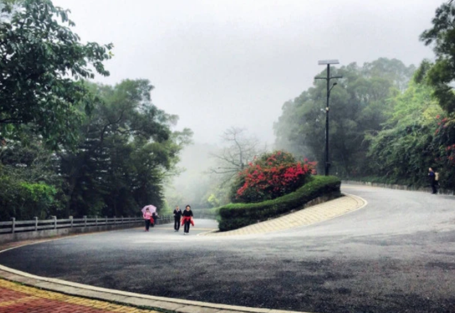 国内旅游好去处,景点多却“懒”得宰客的城市,就在广东 国内旅游好去处,景点多却“懒”得宰客的城市,就在广东