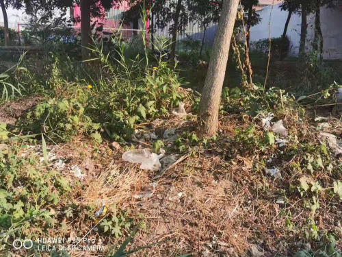 河北沧州一文明生态村,垃圾遍地开花治理农村环境“当儿戏”