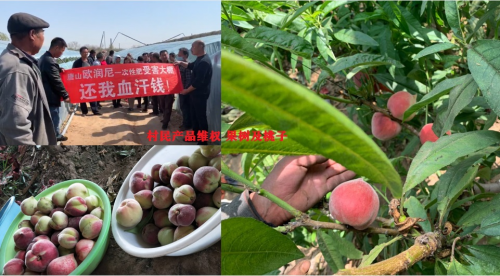 浙江万里扬集团上市公司售卖产品无发票见问题扯皮推诿为哪般插图 浙江万里扬集团上市公司售卖产品无发票见问题扯皮推诿为哪般插图