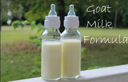 给孩子们的营养补给你会选择牛奶还是羊奶？