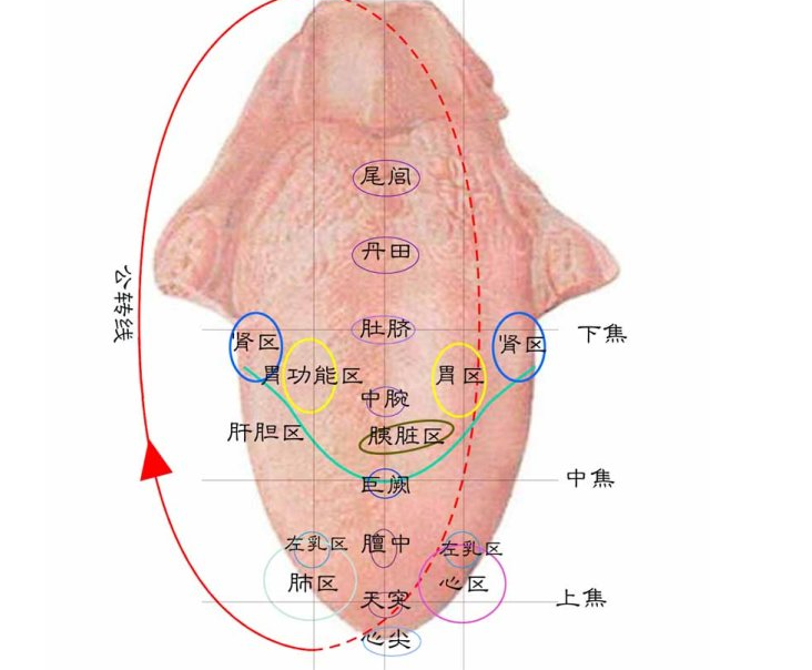 舌头发黑是怎么回事？舌头发黑是什么原因导致？