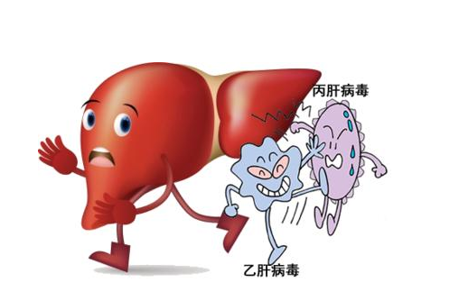 丙肝的危害 丙肝患者需要注意什么？