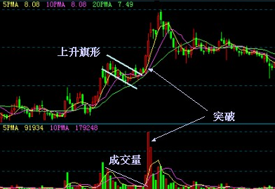 2021最新股票入门基础知识大全 从零开始学炒股
