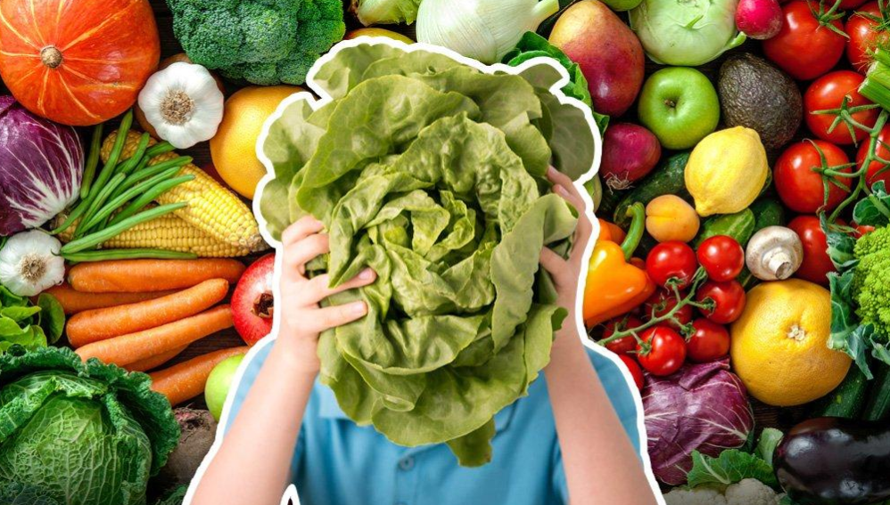 全素食幼儿园真的好吗?家长真的要反思