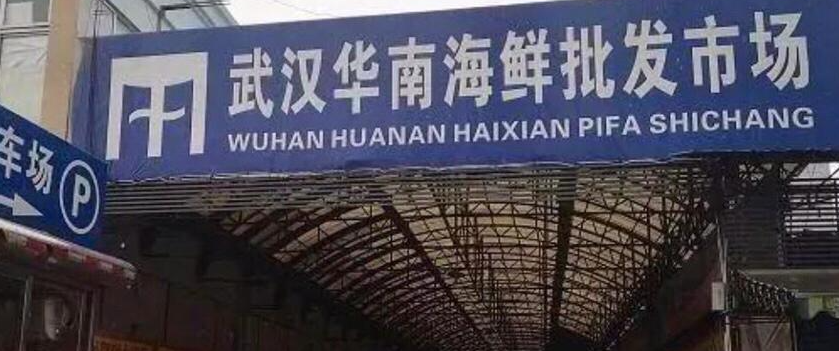 华南海鲜市场动物制品未发现阳性 新冠病毒来源是否为中国南方野生动物