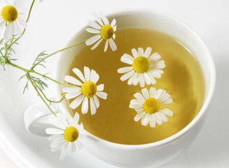 春夏必备美白减肥养生茶 最适合春夏饮用的养生保健佳品