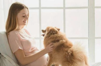怀孕了还可以继续养宠物吗？怀孕与养宠物冲突吗？