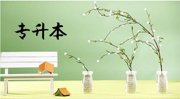 2021年专升本需要注意的几大问题 最详细的专升本问题介绍 2021年专升本需要注意的几大问题 最详细的专升本问题介绍