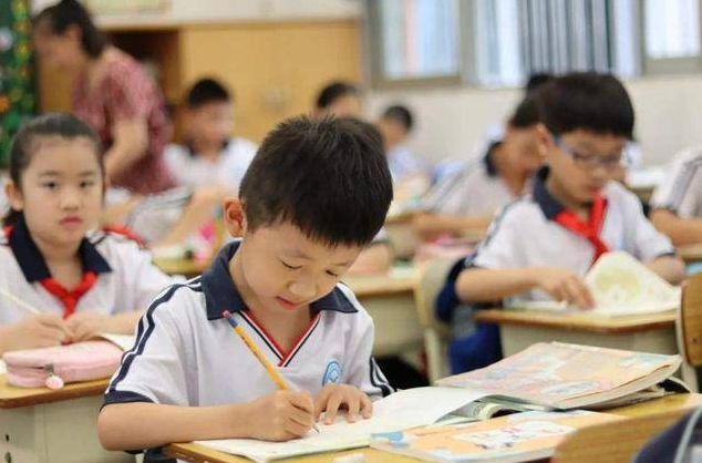 白岩松谈学校课间十分钟鸦雀无声 课间应走出教室尽享阳光体育