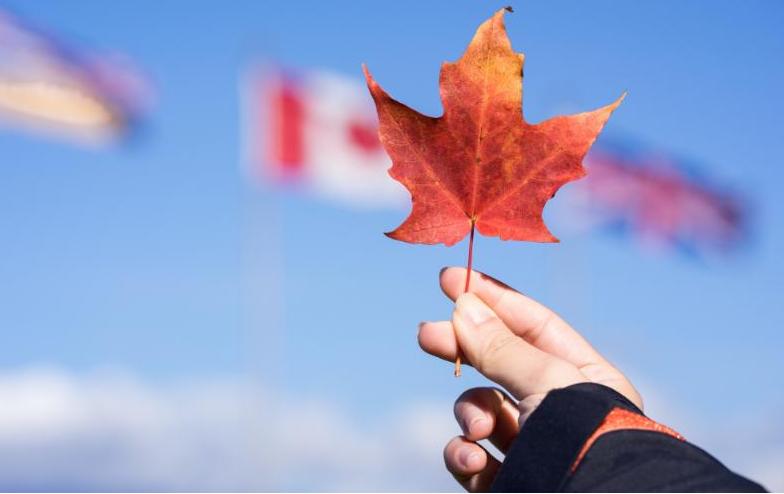 2021年加拿大留学费用较低的学校有哪些？2021年适合留学的加拿大院校推荐