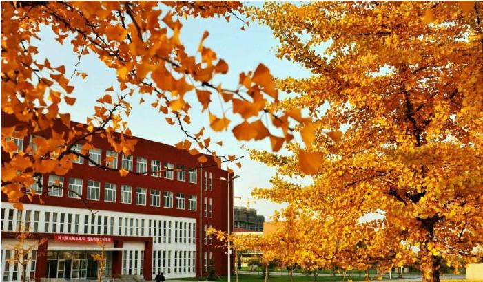 曲阜师范大学2021年普通高等教育招生章程 曲阜师范大学2021年录取分数线 曲阜师范大学2021年普通高等教育招生章程 曲阜师范大学2021年录取分数线