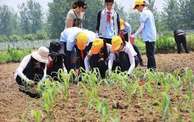 劳动教育成大中小学必修课 中小学每周不少于1课时