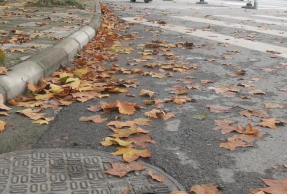 秋天驾驶要注意落叶堆积 落叶可能挡住路面异物从而损伤车辆