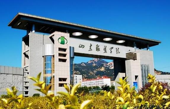 2021高考200分能上哪些专科 200左右的专科院校介绍