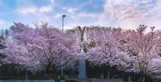 2021年中国环境最好的十所大学 ；厦门大学被誉为环境最好的大学！