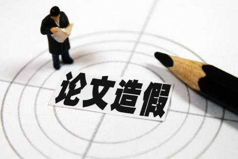 不唯学术论文是对博士培养降低要求吗？这种说法究竟是对是错!
