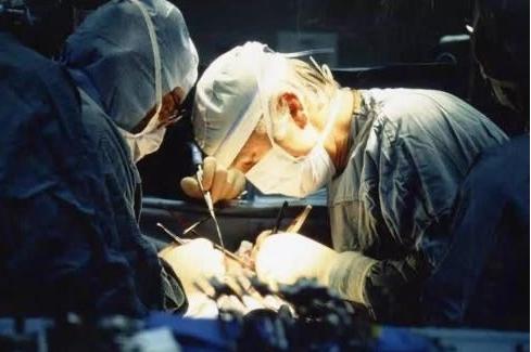 最新突破!世界首例猪肾脏移植人体手术成功 快讯世界首例猪肾脏移植人体手术成功
