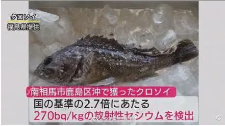 日本福岛民众担心核辐射不敢吃鱼！当地居民称不知道这次辐射到底要到什么程度！