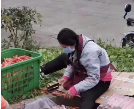 我的博导去削萝卜了？网友：背后的力量让人相信这完全是帮厨界的天花板！