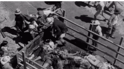 南京大屠杀唯一动态影像；专访南京大屠杀唯一影响记录者：约翰·马吉之孙;铭记这段历史!