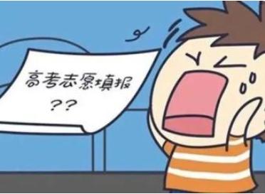 高考填报志愿怎么避坑(高考志愿填报技巧)