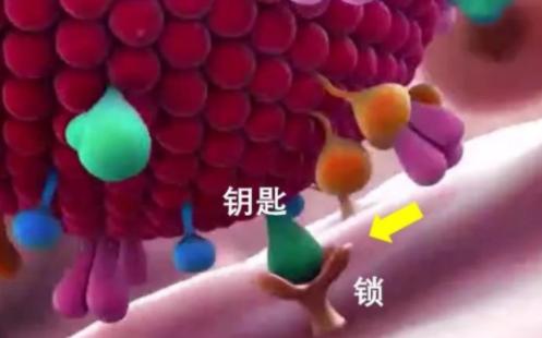 中国发布首款“输液”抗新冠特效药 会成为终结疫情的杀手锏吗？