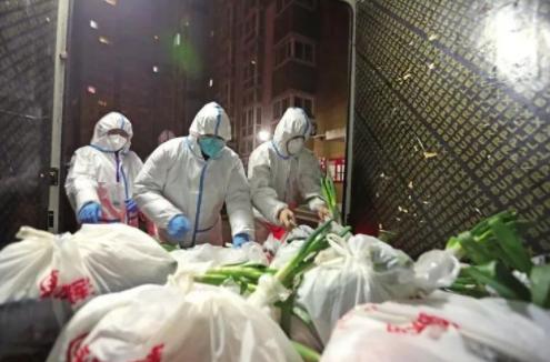 西安多区免费送菜一户一份 西安多个区配送免费蔬菜包 西安多区免费送菜一户一份 西安多个区配送免费蔬菜包