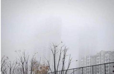 春运发生极端强降温可能性较大；南方部分地区或出现雨雪冰冻！网友:就地过年添新依据