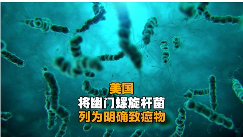 美国将幽门螺旋杆菌列为明确致癌物！中国感染率接近60%！究竟什么是幽门螺旋杆菌？