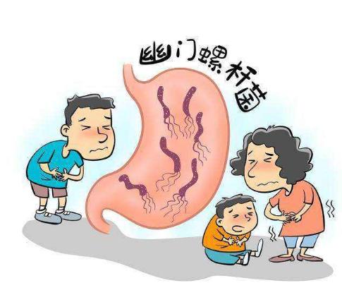 美国将幽门螺旋杆菌列为明确致癌物！中国感染率接近60%！究竟什么是幽门螺旋杆菌？