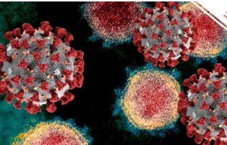 法国发现新病毒 突变数超奥密克戎；突变点比奥密克戎多9个，至少感染12人！世卫组织正进行观察