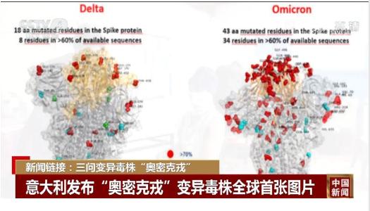 法国发现新病毒 突变数超奥密克戎；突变点比奥密克戎多9个，至少感染12人！世卫组织正进行观察