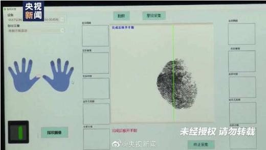 研究发现指纹与身体发育基因关联；我国表型组研究获重大突破 首次揭示指纹与身体发育基因关联！