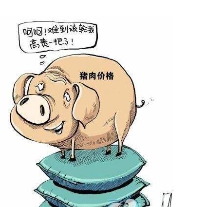 猪肉价格连降5周 旺季不旺咋回事？猪价逆势大跌到底啥原因？
