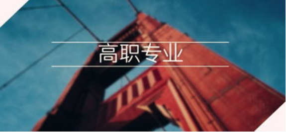 中国职业教育现状及问题分析，本科层次职业教育的现状如何？