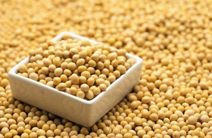 豆类里的激素是什么？大豆异黄酮类并不等于雌激素,吃多少不算"过量"