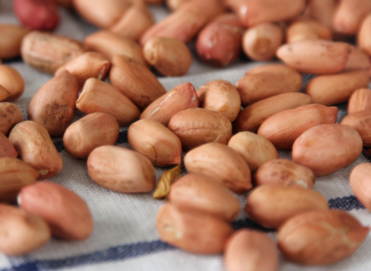 常吃花生究竟是降血压还是升血压？高血压患者如何放心吃花生？