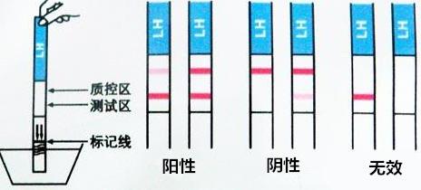 怀孕多久能用验孕棒测出来？不用半个月几天就够了