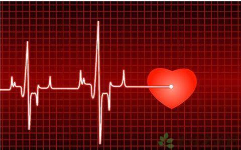 窦性心律是什么意思?心电图的结果显示窦性心律怎么办? 窦性心律是什么意思?心电图的结果显示窦性心律怎么办?