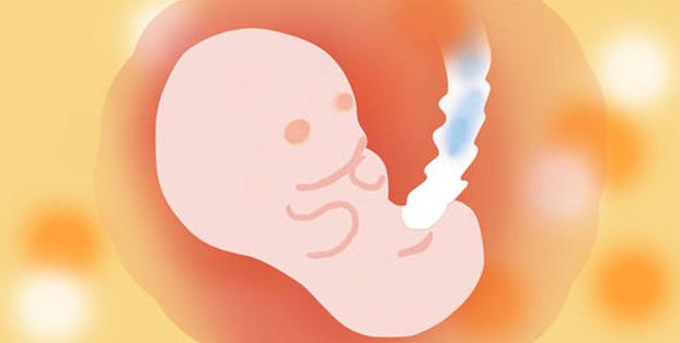孕期有营养的保胎食物有哪些？孕妇在孕期怎样吃才能营养又健康？