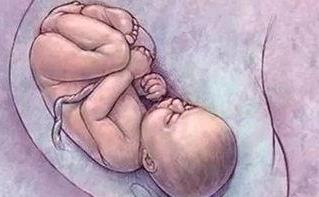 怀孕多少周生下的宝宝才是足月宝宝?孕妈妈怎样才能生下足月宝宝呢?