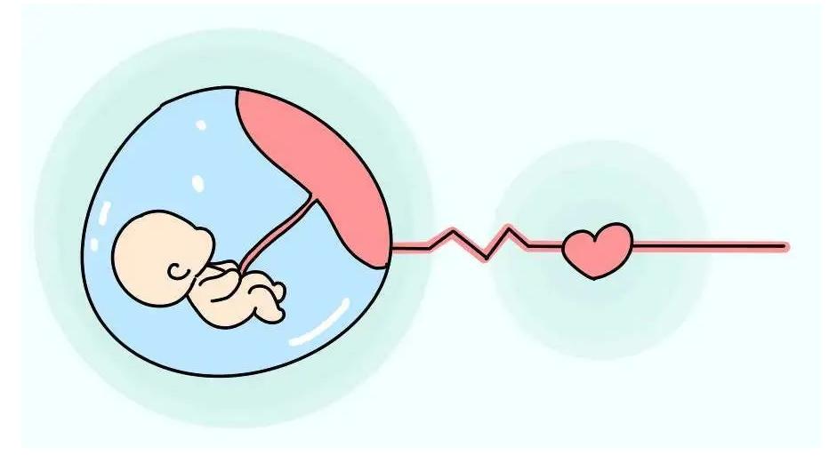 胎停究竟怎么回事?高龄女性备孕应该做好哪些准备?