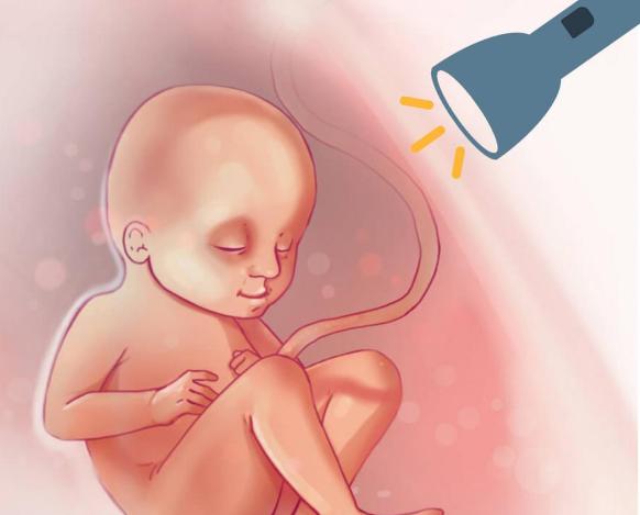  光照胎教有什么作用?光照胎教的具体方法有哪些?