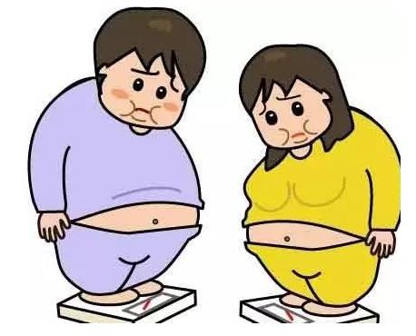 肚子为什么难减?怎样才能科学快速的瘦肚子?